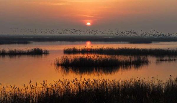 三角洲直装科技怎么使用(三角洲直装科技哪个版本最好用?) 三角洲直装科技怎么使用(三角洲直装科技哪个版本最好用?)