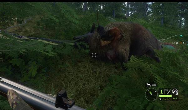 三角洲官方寻血猎犬(三角洲行动寻血猎犬多少钱一只?) 三角洲官方寻血猎犬(三角洲行动寻血猎犬多少钱一只?)