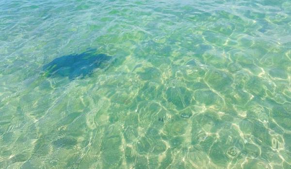 三角洲手游下载入口在哪里(给我一个三角洲手游的下载链接) 三角洲手游下载入口在哪里(给我一个三角洲手游的下载链接)