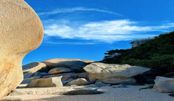 三角洲手机下载(三角洲手机下载安全吗?) 三角洲手机下载(三角洲手机下载安全吗?)